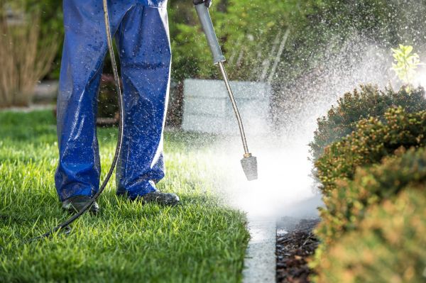 Curb Cleaning in Nicholasville