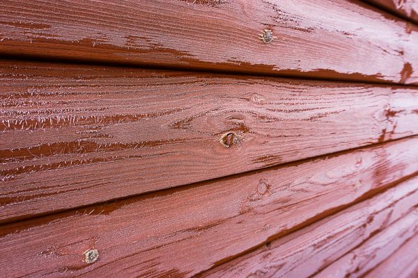 Cedar Siding Cleaning in Nicholasville