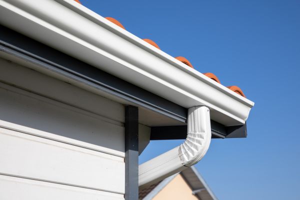 Roofline Cleaning in Nicholasville